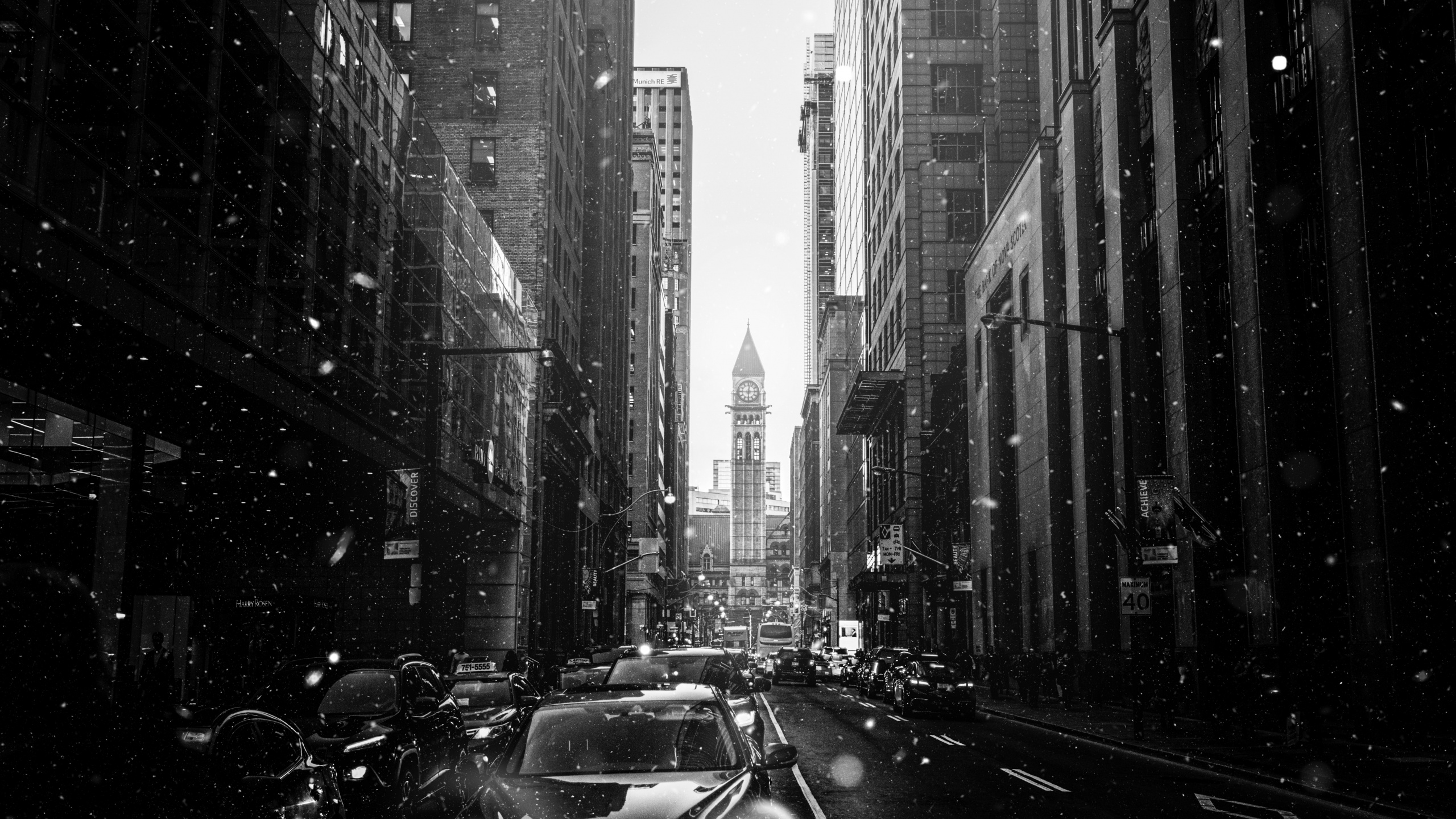 Grayscale Photo of Cars on Road Between High Rise Buildings. Wallpaper in 2560x1440 Resolution