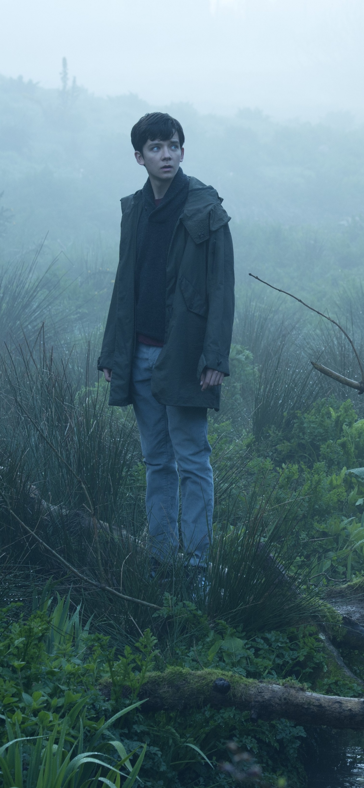 Asa Butterfield, Jacob Portman, Estación de la Colina, Río, Las Formaciones Montañosas. Wallpaper in 1242x2688 Resolution