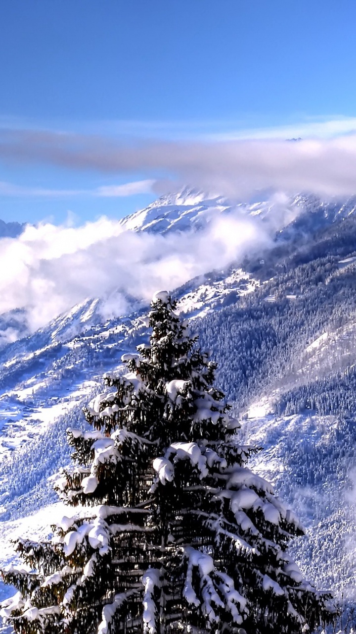 Snow Covered Mountain During Daytime. Wallpaper in 720x1280 Resolution