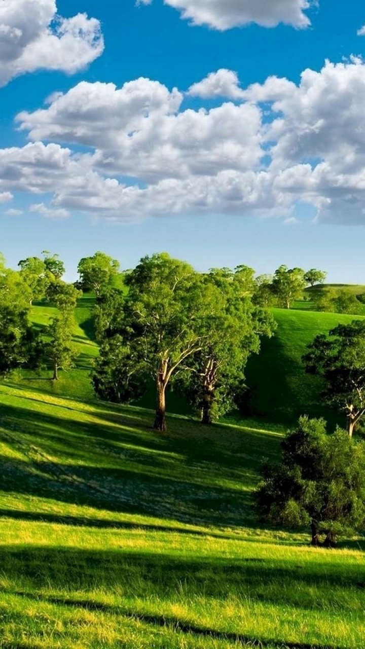 Green Grass Field Under Blue Sky During Daytime. Wallpaper in 720x1280 Resolution