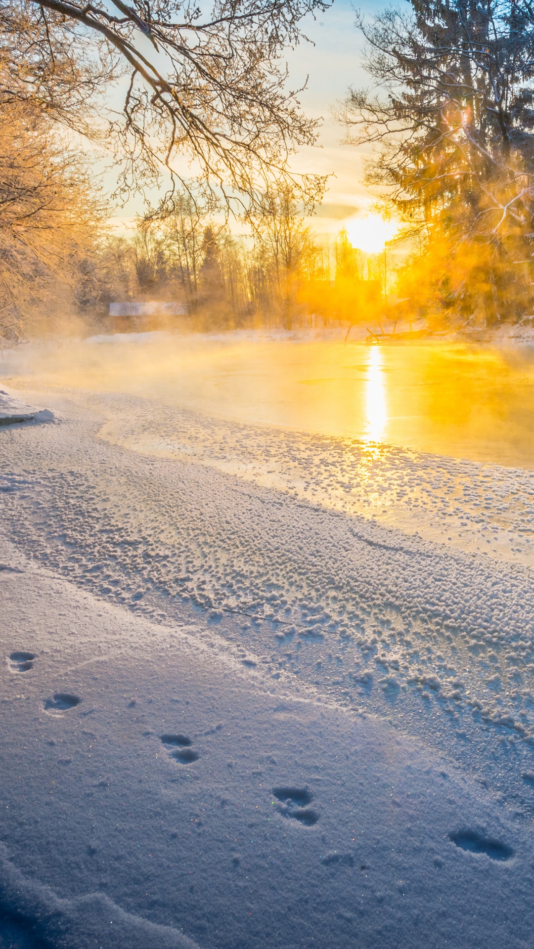 Snow Covered Field During Sunset. Wallpaper in 1080x1920 Resolution