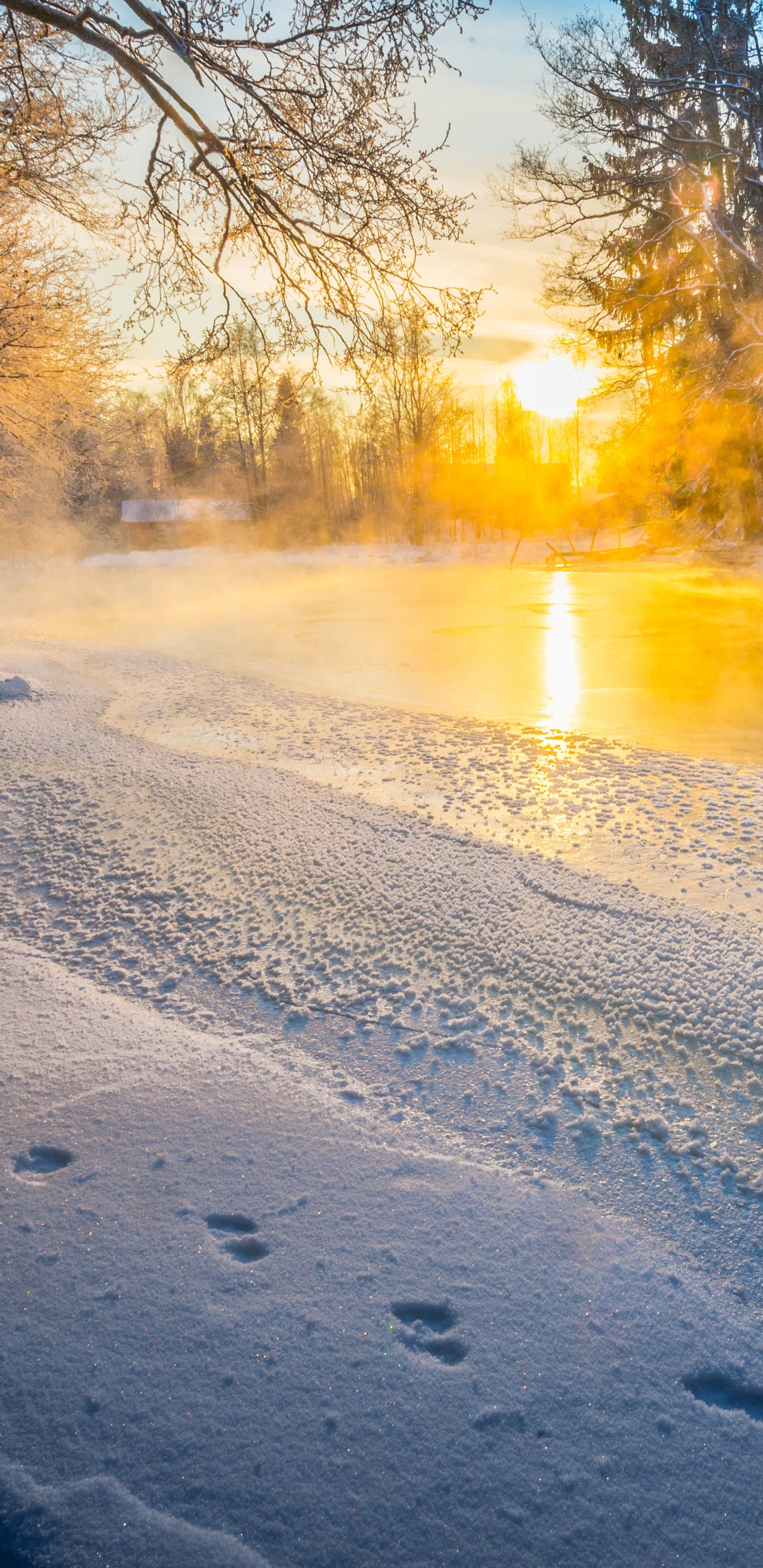 Snow Covered Field During Sunset. Wallpaper in 1440x2960 Resolution