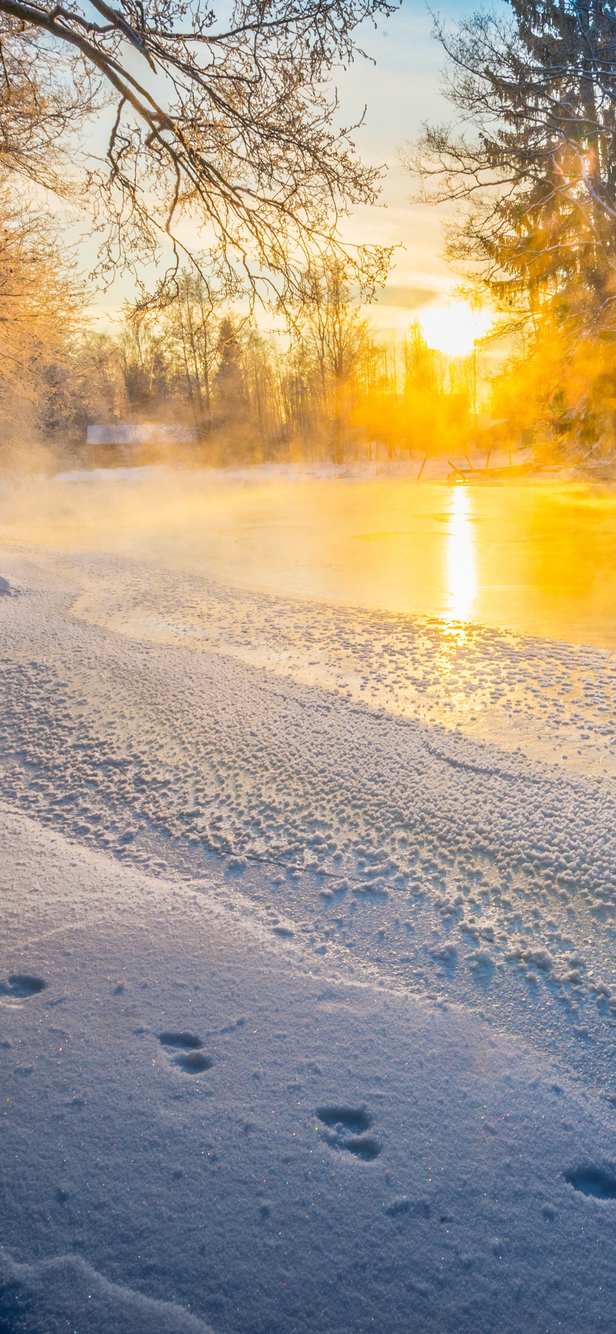 Campo Cubierto de Nieve Durante la Puesta de Sol. Wallpaper in 1242x2688 Resolution