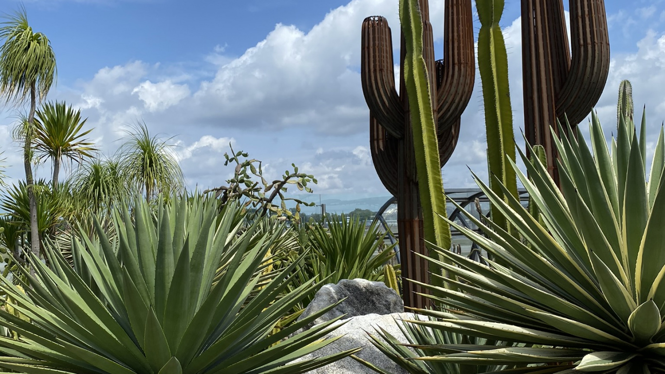 Vegetation, Shrubland, Daytime, Natural Environment, Plant. Wallpaper in 1366x768 Resolution