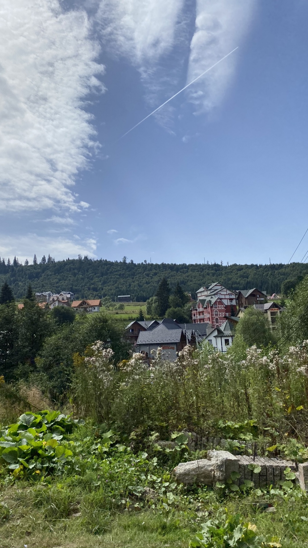 Vegetation, Cloud, Plant Community, Land Lot, Shrub. Wallpaper in 1080x1920 Resolution