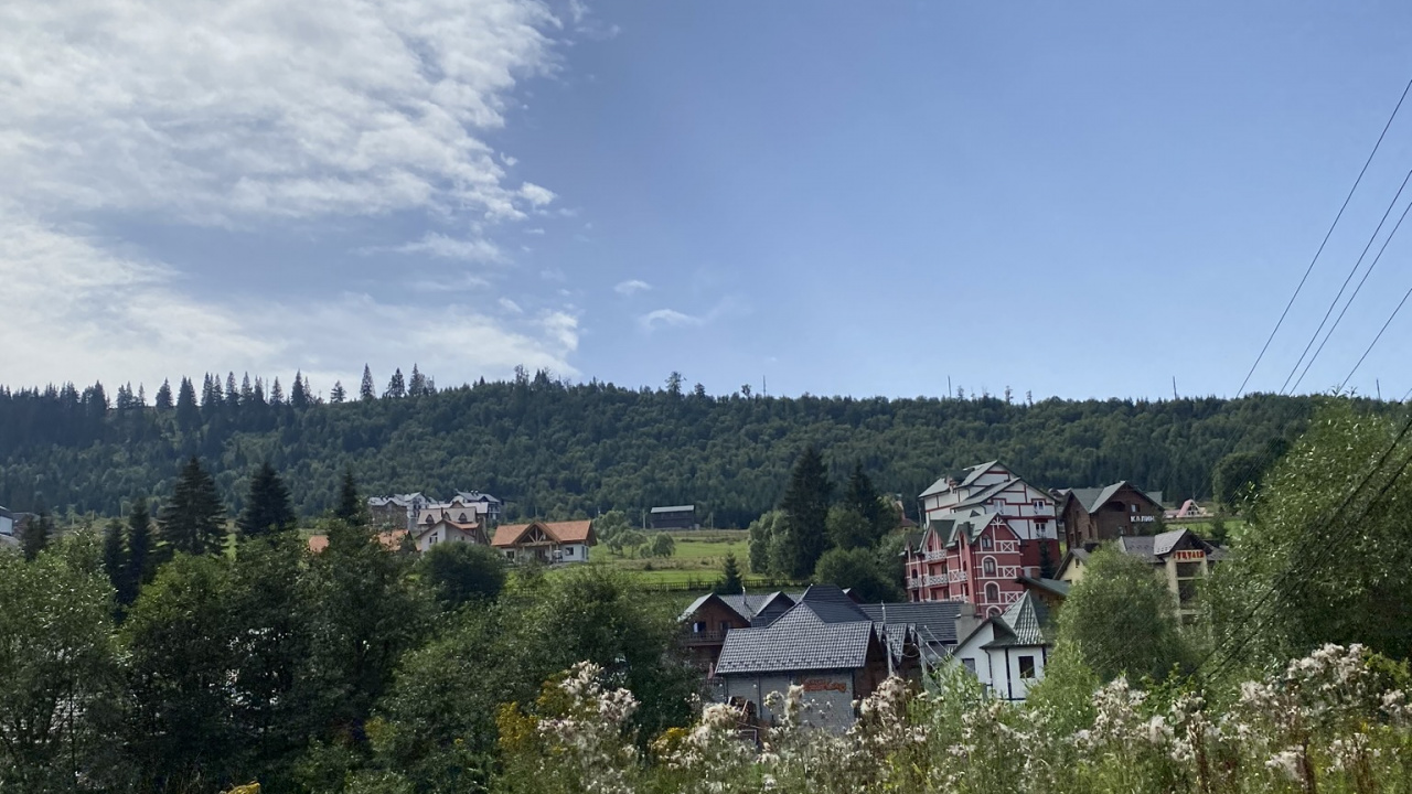 植被, 植物群, 土地很多, 灌木, 农村地区 壁纸 1280x720 允许