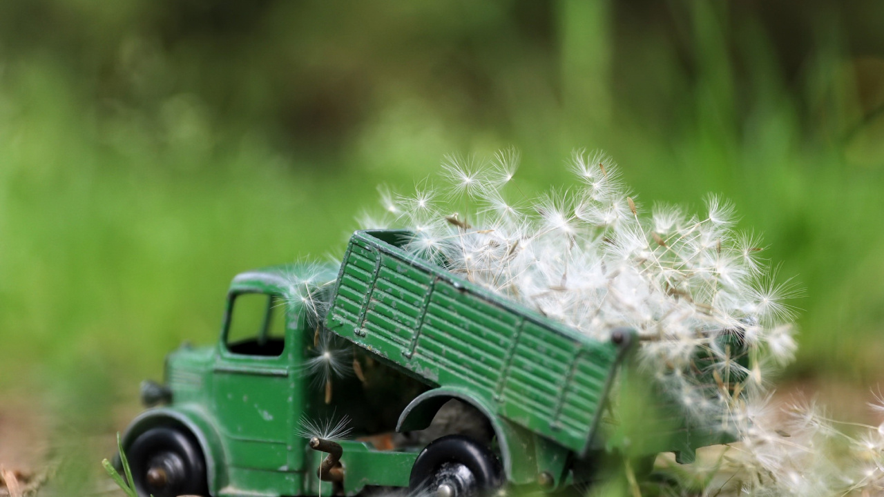 Camion Vert Avec Des Fleurs Blanches Sur le Dessus. Wallpaper in 1280x720 Resolution