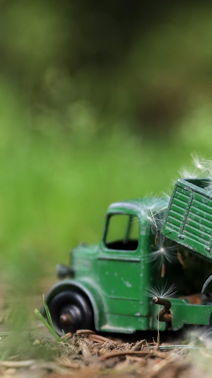 Camion Vert Avec Des Fleurs Blanches Sur le Dessus. Wallpaper in 720x1280 Resolution