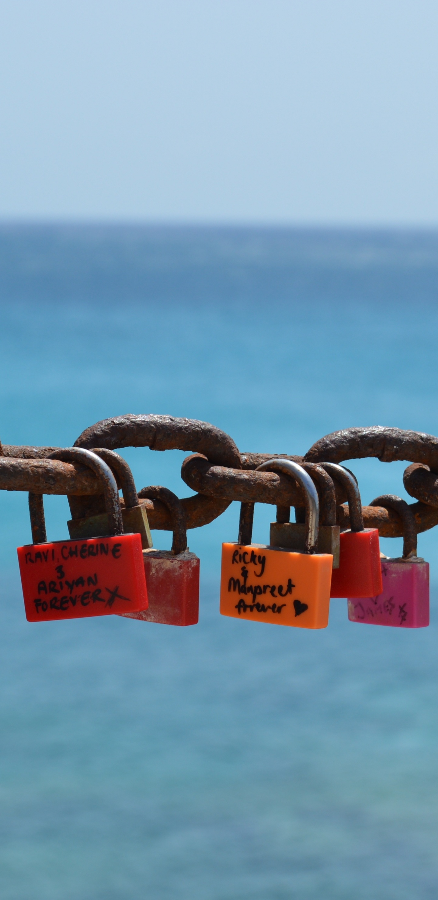 Padlocks on Gray Metal Fence During Daytime. Wallpaper in 1440x2960 Resolution