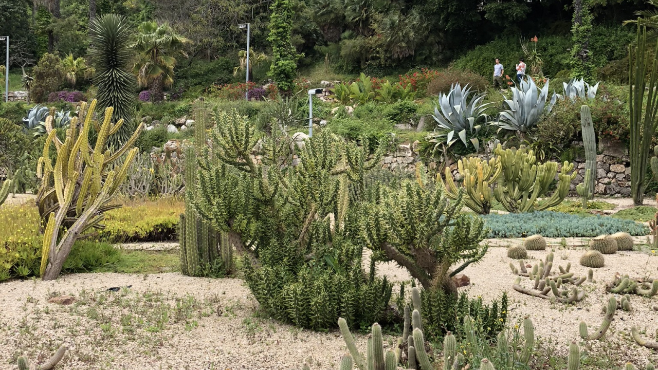 Végétation, Biome, Les Landes, Jardin Botanique, Plante de la Communauté. Wallpaper in 1280x720 Resolution
