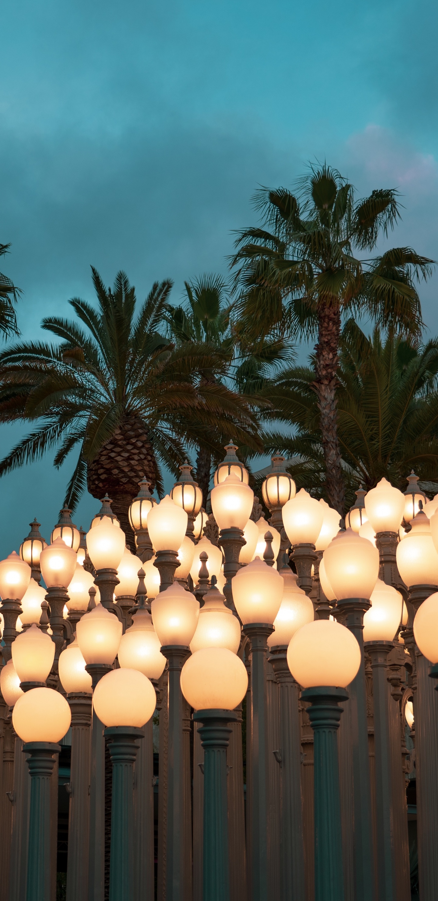 Linternas de Papel Blanco Sobre Palmeras Verdes Bajo un Cielo Azul Durante el Día. Wallpaper in 1440x2960 Resolution