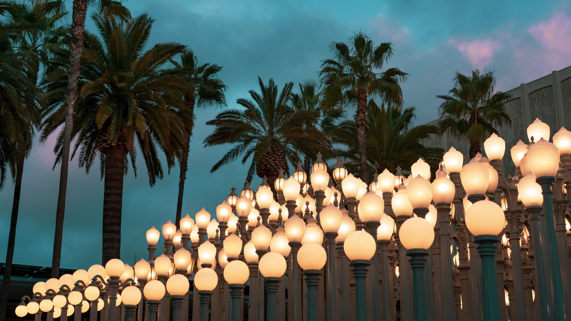 White Paper Lanterns on Green Palm Trees Under Blue Sky During Daytime. Wallpaper in 1920x1080 Resolution