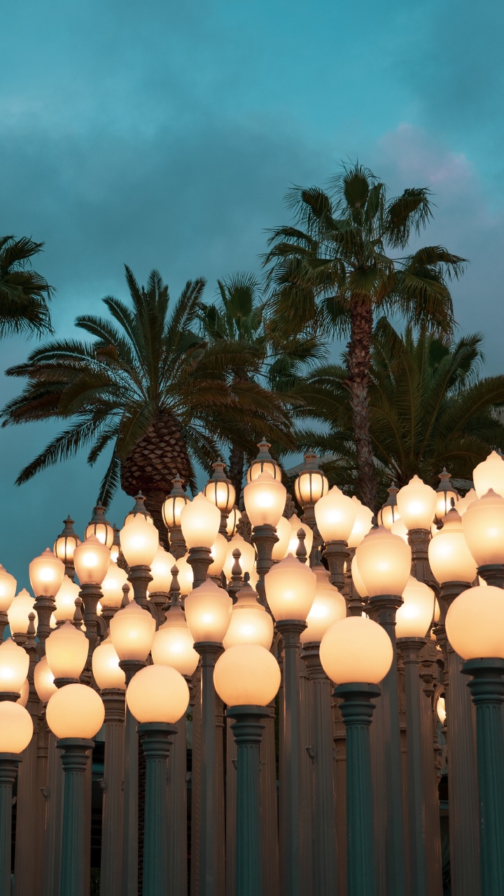 White Paper Lanterns on Green Palm Trees Under Blue Sky During Daytime. Wallpaper in 720x1280 Resolution