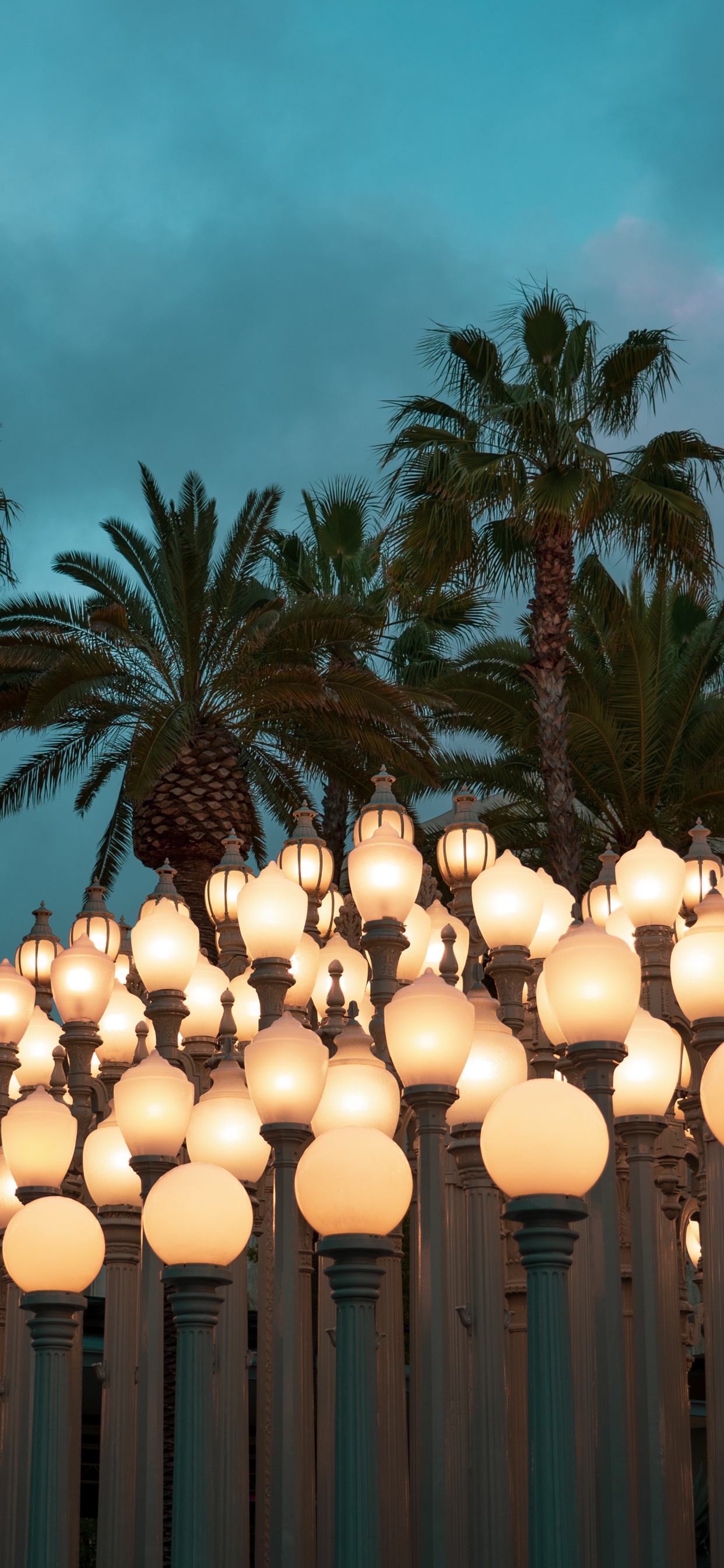 Weiße Papierlaternen Auf Grünen Palmen Unter Blauem Himmel Tagsüber. Wallpaper in 1242x2688 Resolution