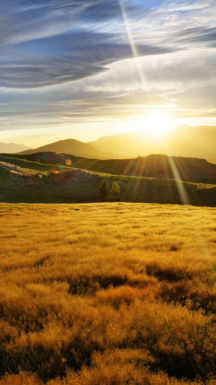 Green Grass Field Near Mountain Under Blue Sky During Daytime. Wallpaper in 720x1280 Resolution