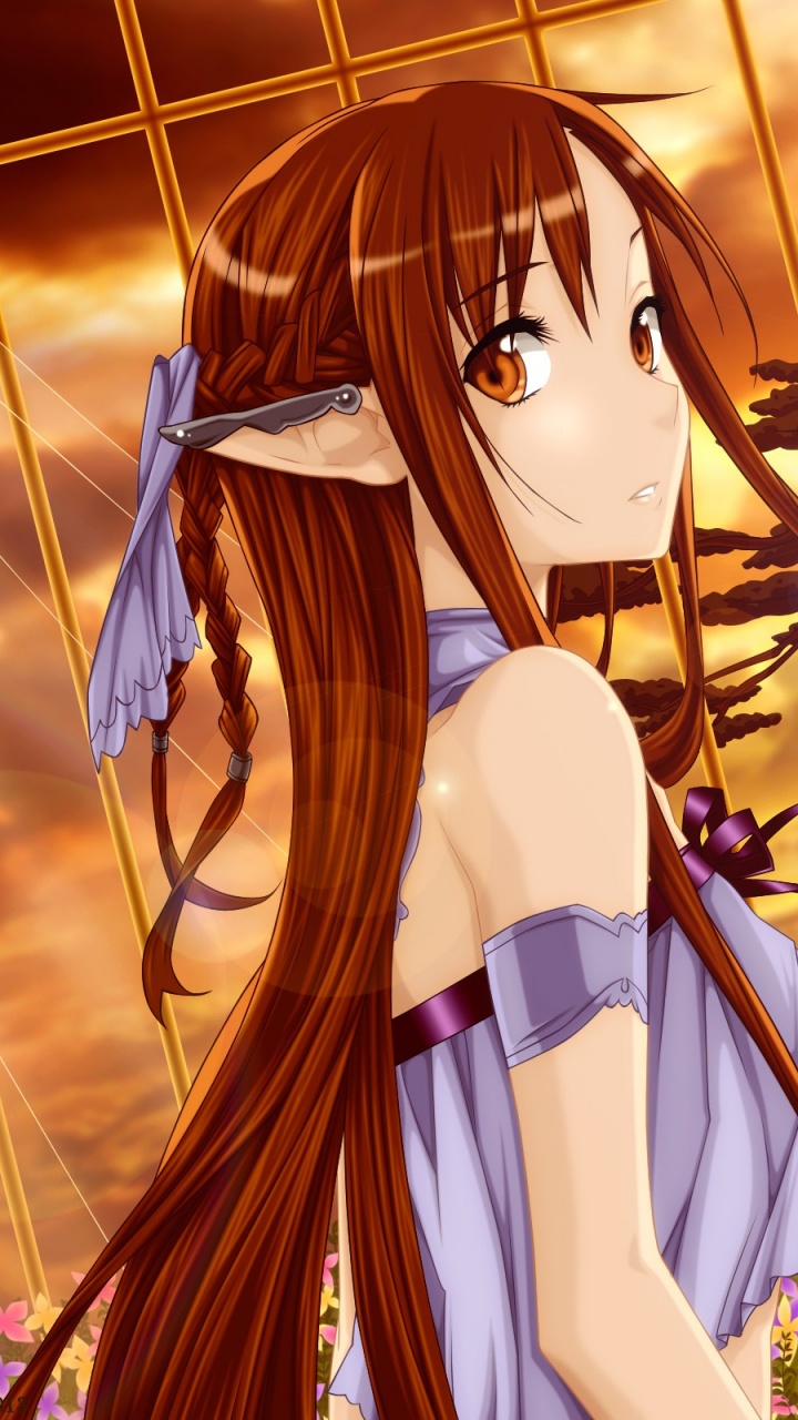 Brown Haired Female Anime Character. Wallpaper in 720x1280 Resolution