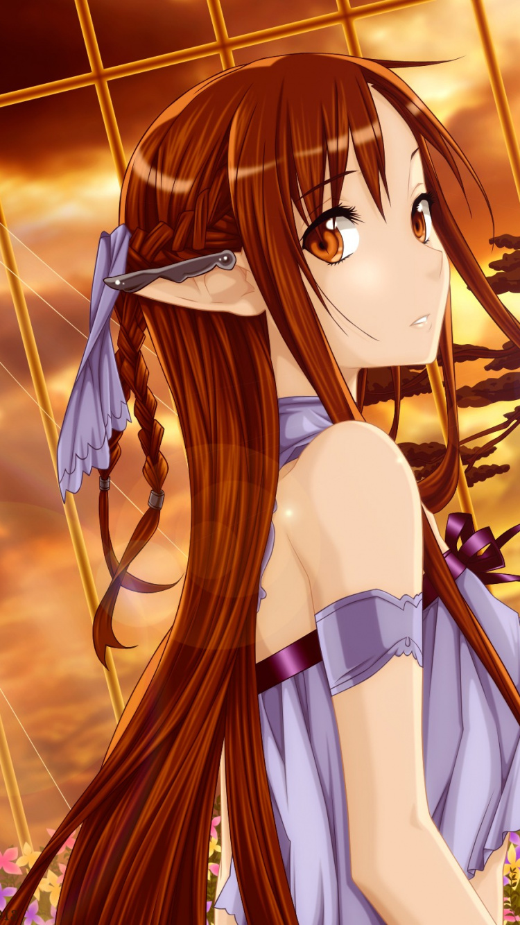Brown Haired Female Anime Character. Wallpaper in 750x1334 Resolution