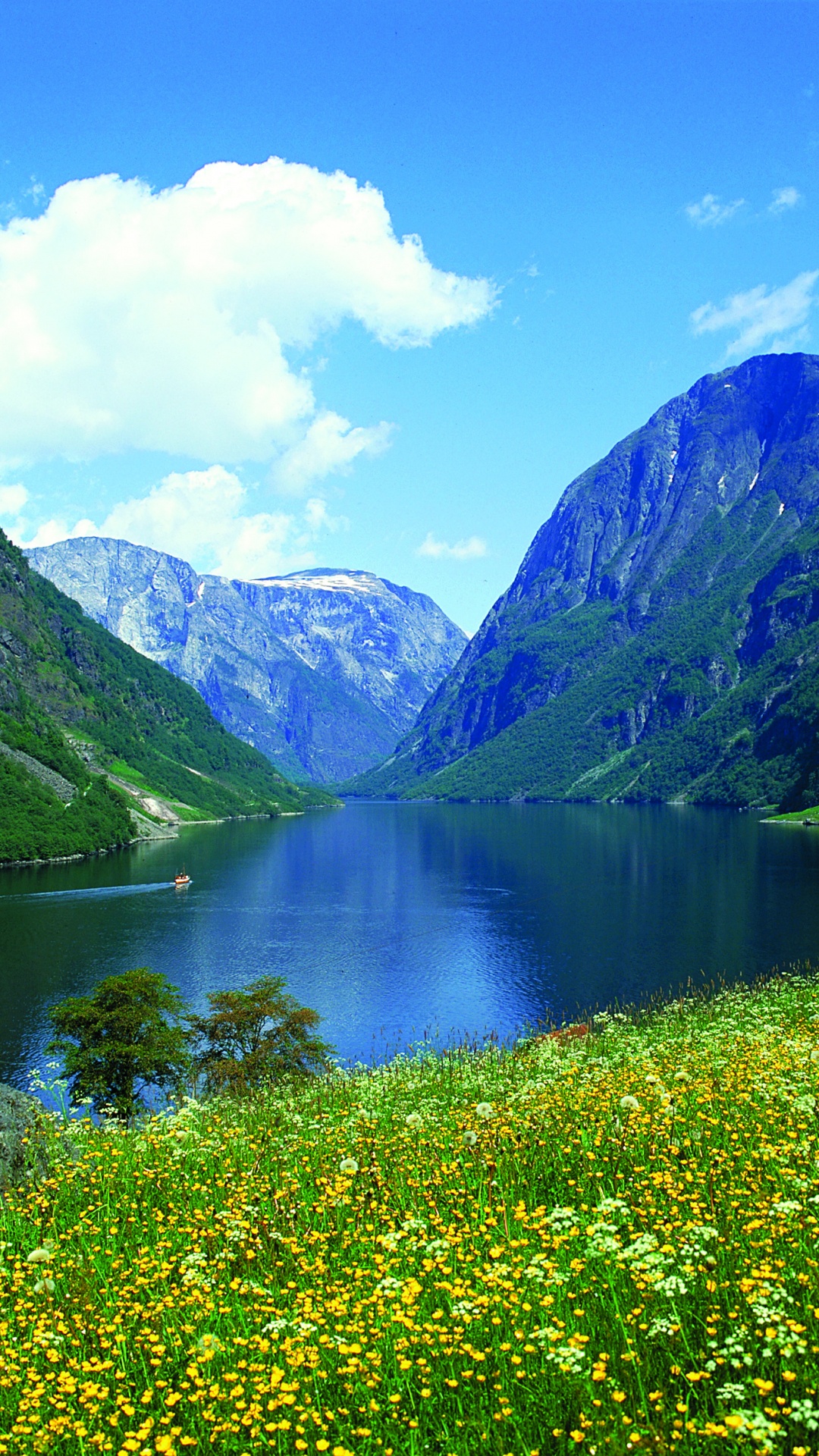 峡湾, 性质, 高地, 荒野, 水道 壁纸 1080x1920 允许