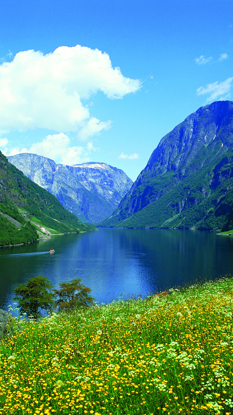 Green Grass Field Near Lake Under Blue Sky During Daytime. Wallpaper in 750x1334 Resolution