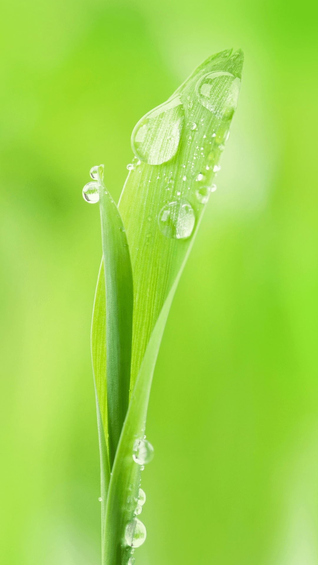 Huawei, Huawei Nova, Huawei Nova 2, Huawei Frisch 2 Mehr, Huawei Nova 3. Wallpaper in 1080x1920 Resolution