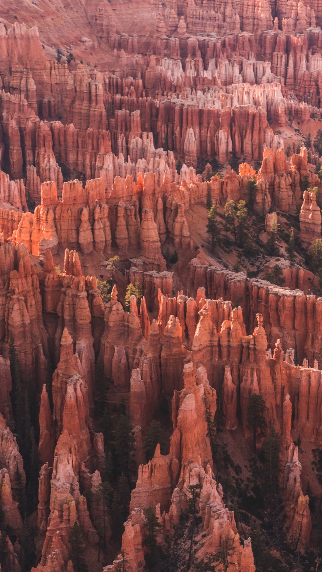 Bryce Canyon, Utah, Bryce Canyon City, Sonnenaufgangspunkt, Nationalpark, Park. Wallpaper in 1080x1920 Resolution