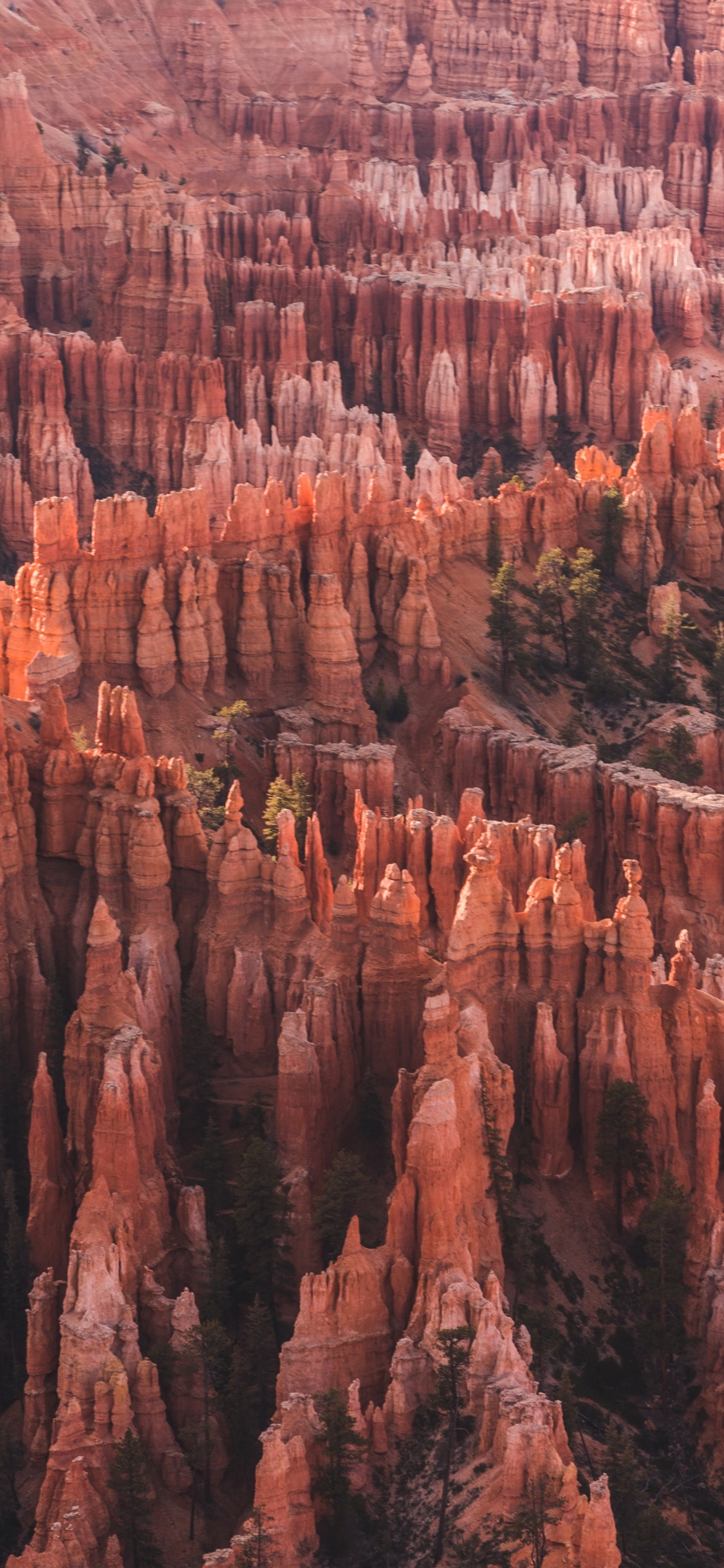 Bryce Canyon, Utah, Bryce Canyon City, Sonnenaufgangspunkt, Nationalpark, Park. Wallpaper in 1125x2436 Resolution