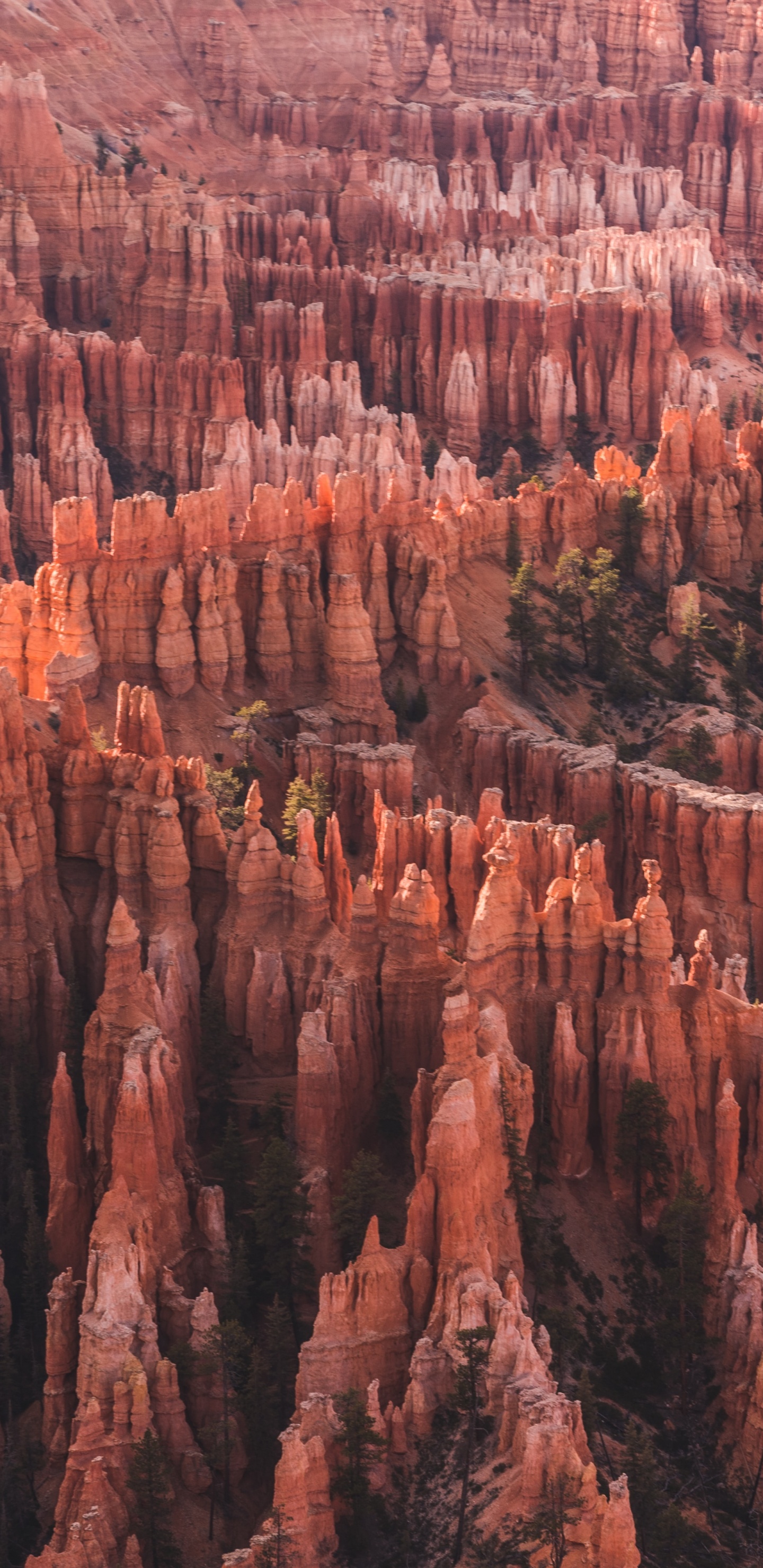 Bryce Canyon, Utah, Bryce Canyon City, Sonnenaufgangspunkt, Nationalpark, Park. Wallpaper in 1440x2960 Resolution