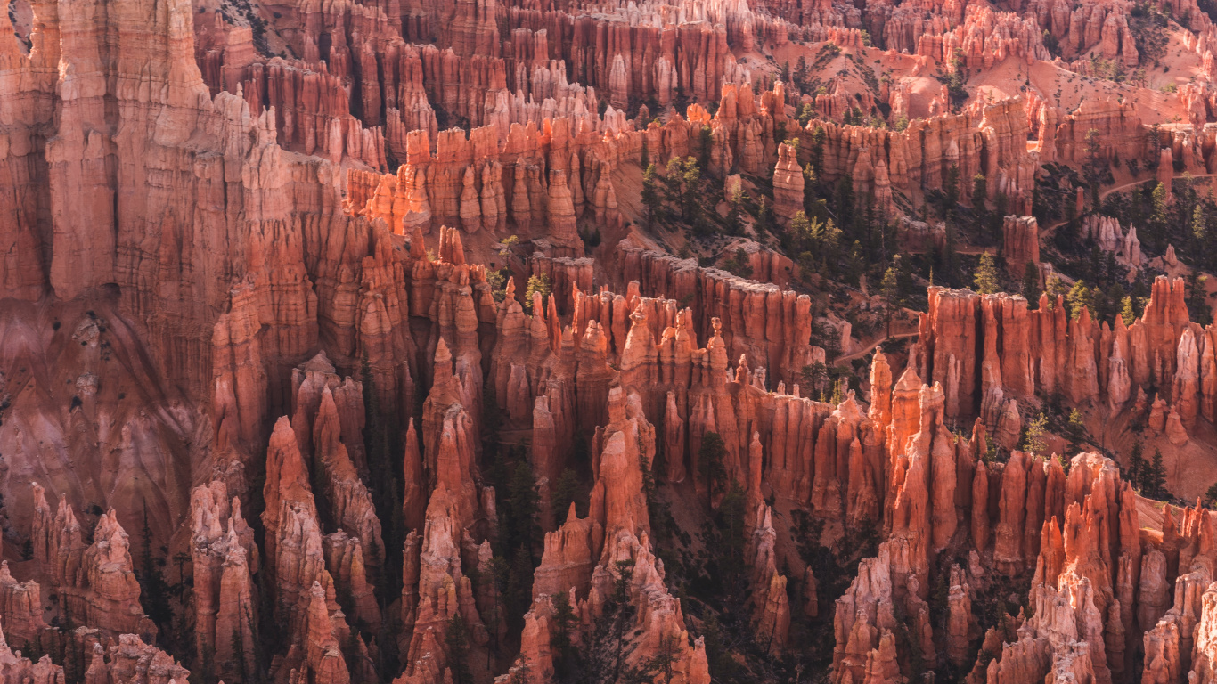 Cañón de Bryce Utah, Bryce Canyon City, Punto Del Amanecer, el Parque Nacional De, Parque. Wallpaper in 1366x768 Resolution