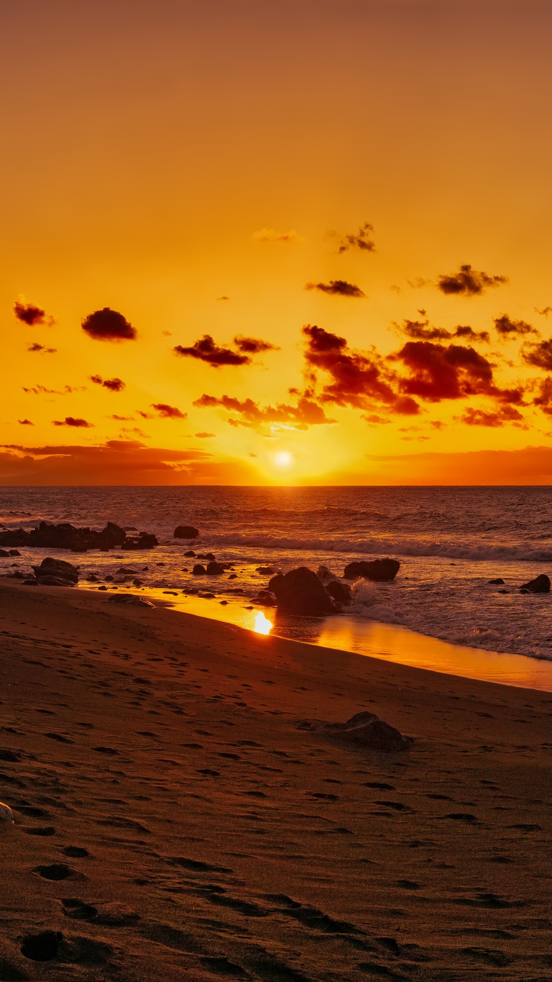 Silhouette de Personnes Sur la Plage Pendant le Coucher du Soleil. Wallpaper in 1080x1920 Resolution