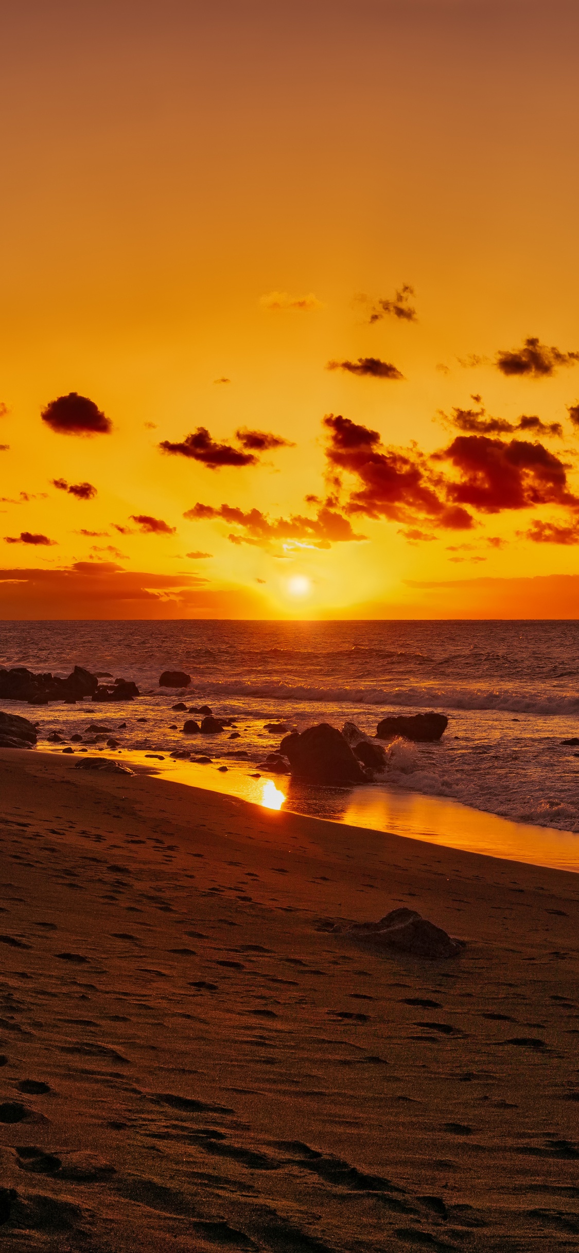 Silhouette de Personnes Sur la Plage Pendant le Coucher du Soleil. Wallpaper in 1125x2436 Resolution