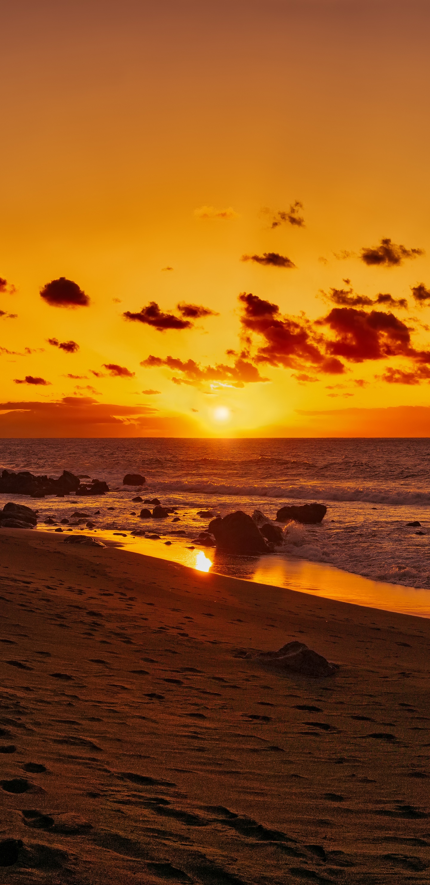 Silhouette de Personnes Sur la Plage Pendant le Coucher du Soleil. Wallpaper in 1440x2960 Resolution