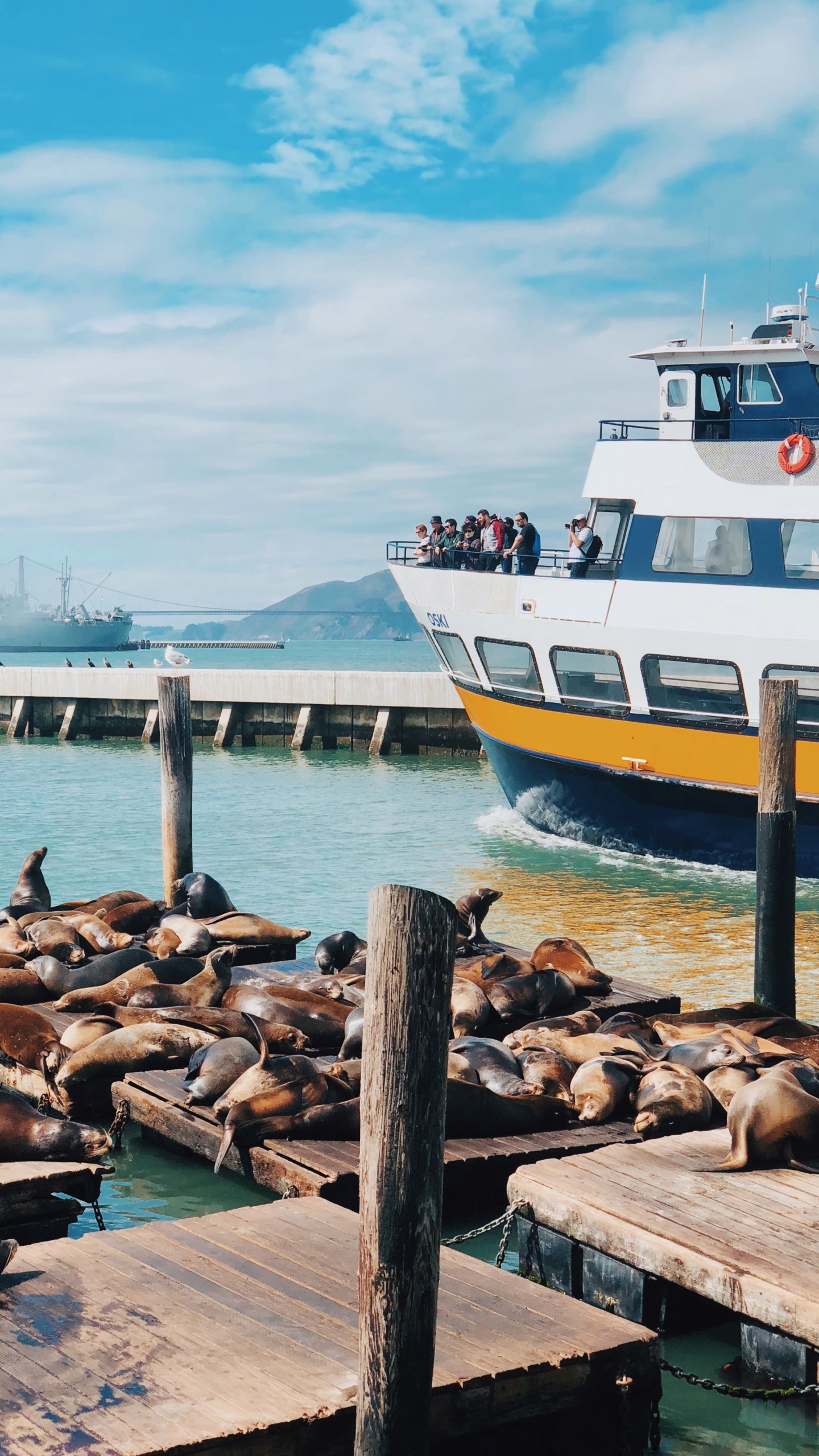 San Francisco, Meer, Wasser, Wasserfahrzeug, Boot. Wallpaper in 1440x2560 Resolution