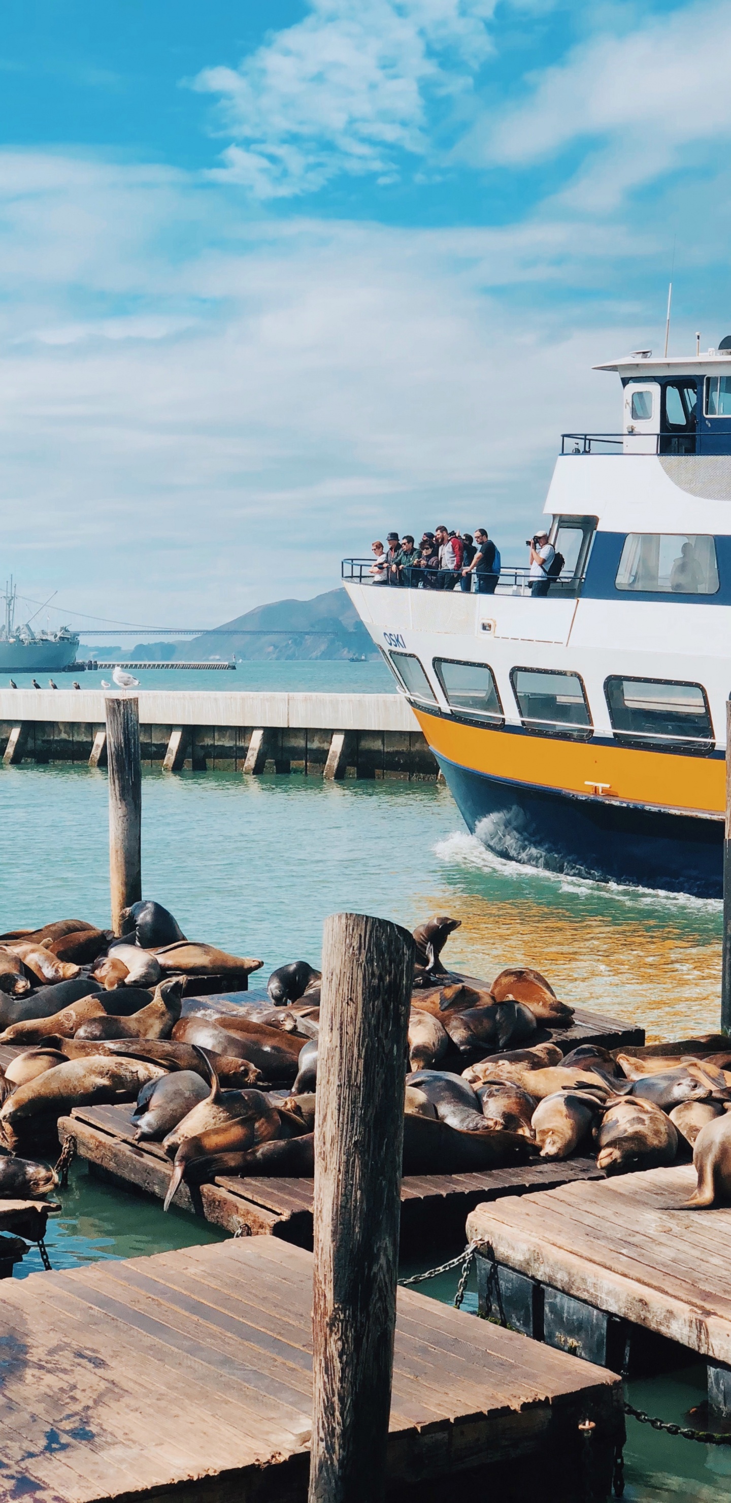 San Francisco, Meer, Wasser, Wasserfahrzeug, Boot. Wallpaper in 1440x2960 Resolution