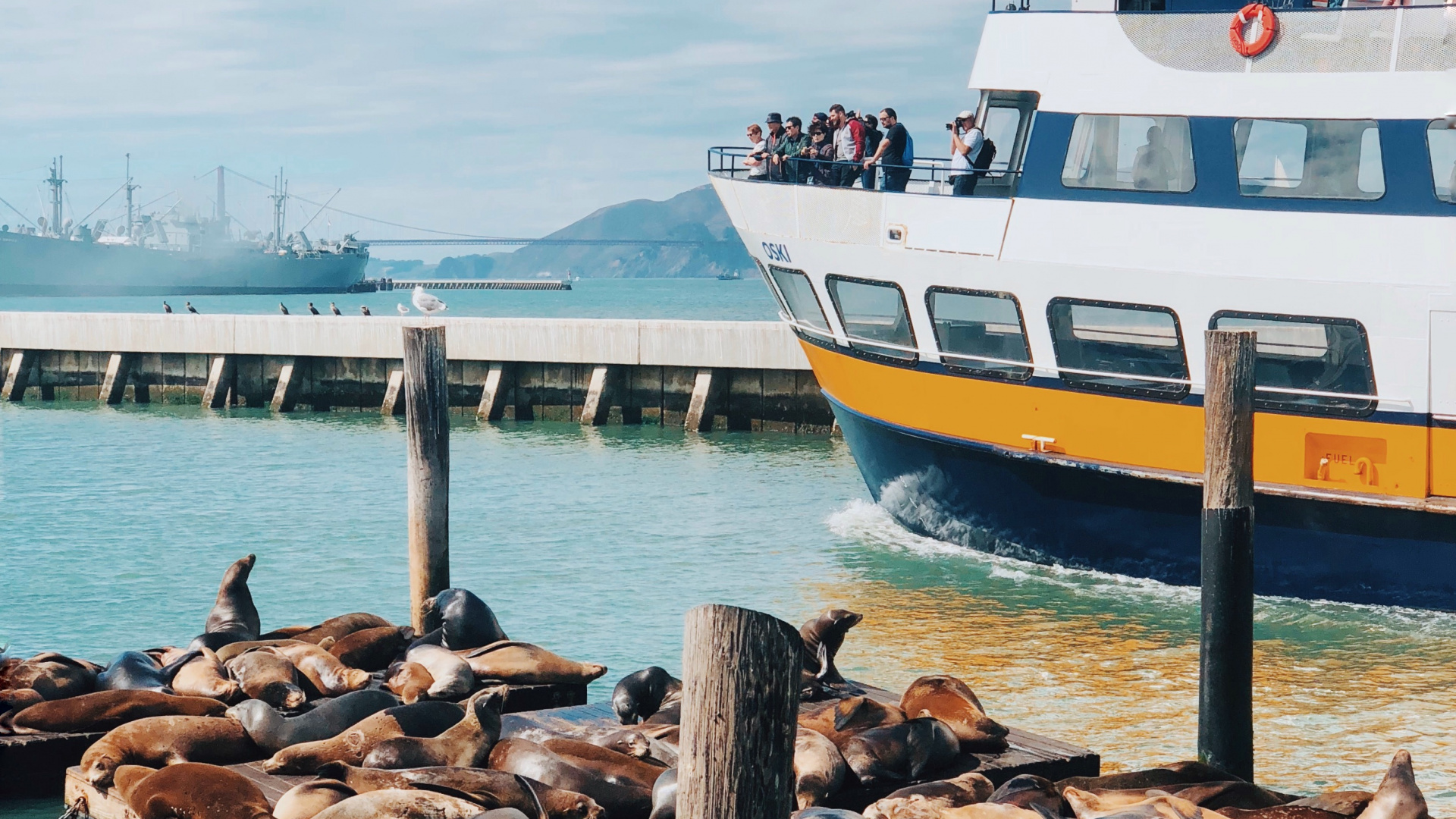 San Francisco, Meer, Wasser, Wasserfahrzeug, Boot. Wallpaper in 1920x1080 Resolution