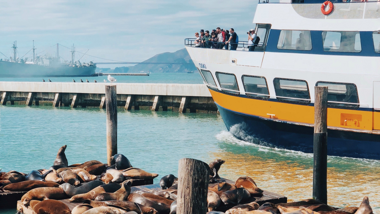 San Francisco, Sea, Water, Watercraft, Boat. Wallpaper in 1280x720 Resolution