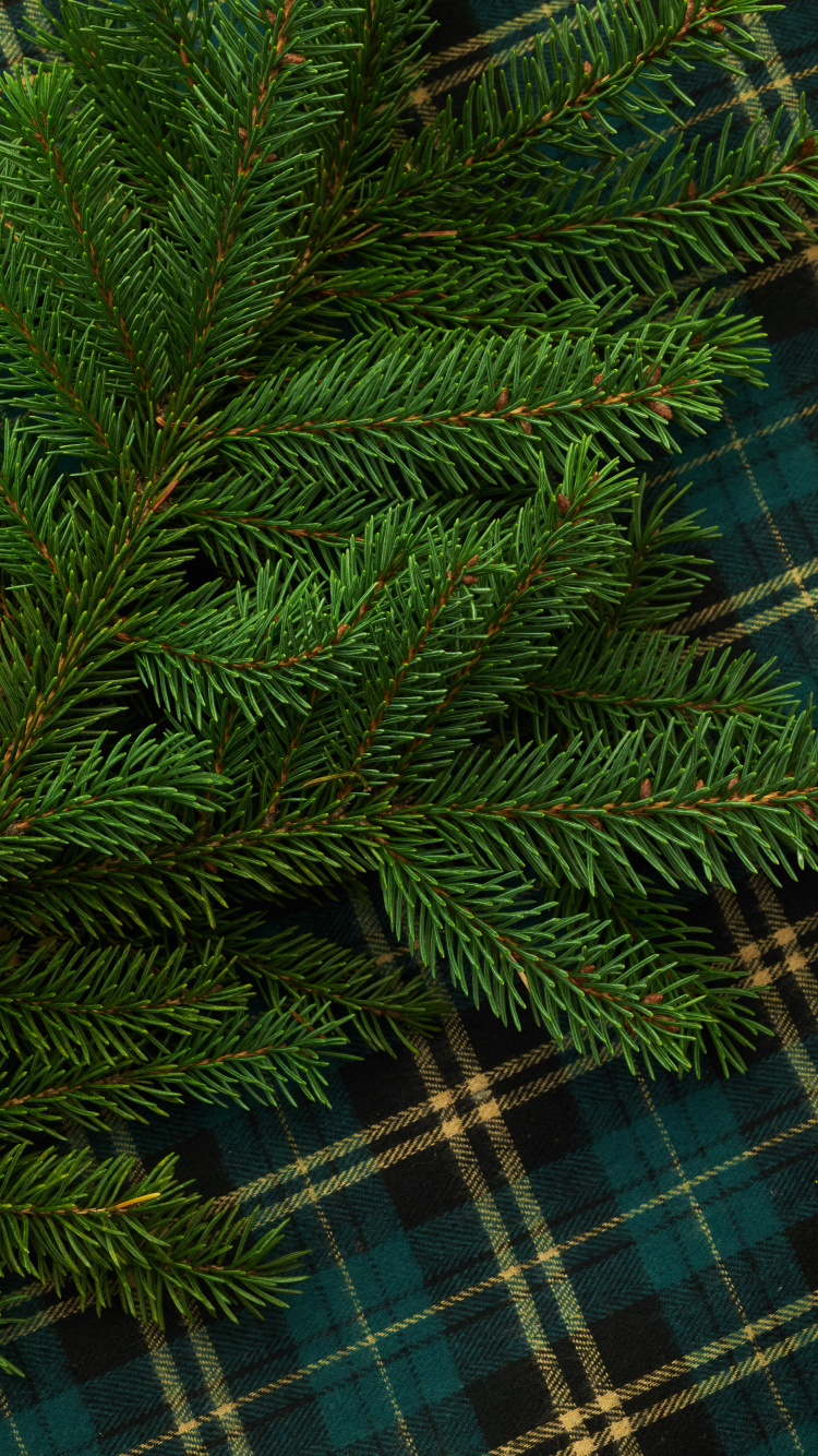 Pin Vert Sur Textile à Carreaux Bleu et Blanc. Wallpaper in 750x1334 Resolution