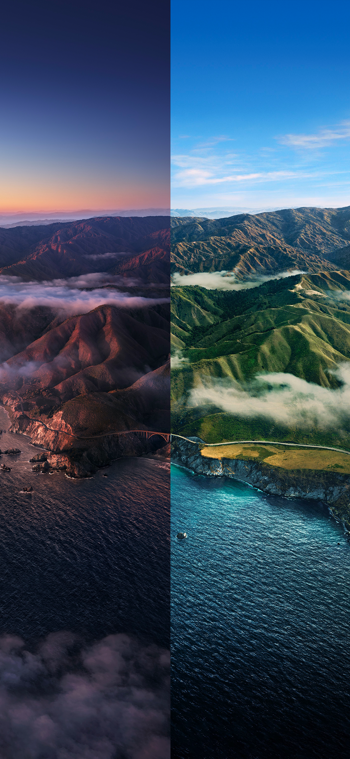 Apple, IPhone, IOS 14, IOS 14 DUAL, Äpfeln. Wallpaper in 1125x2436 Resolution