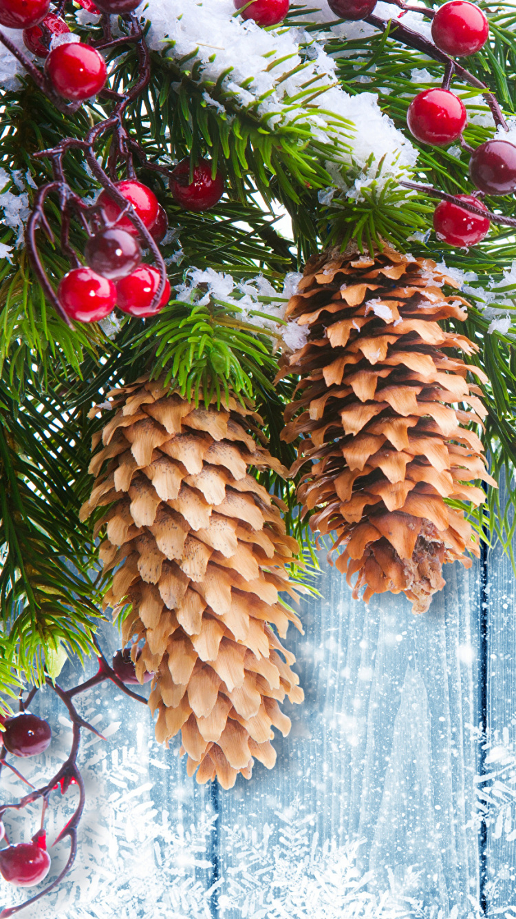 Arbre de Noël, Le Jour De Noël, Ornement de Noël, Pin, Spruce. Wallpaper in 750x1334 Resolution