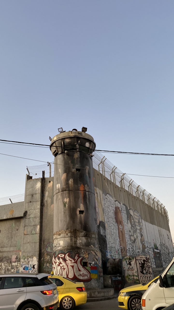 König, Rad, Tire, Kfz-Standlicht, Leichtmetallrad. Wallpaper in 720x1280 Resolution