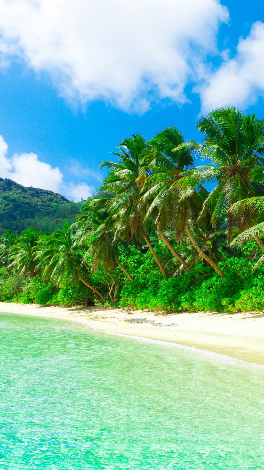 Green Palm Trees on White Sand Beach During Daytime. Wallpaper in 1080x1920 Resolution