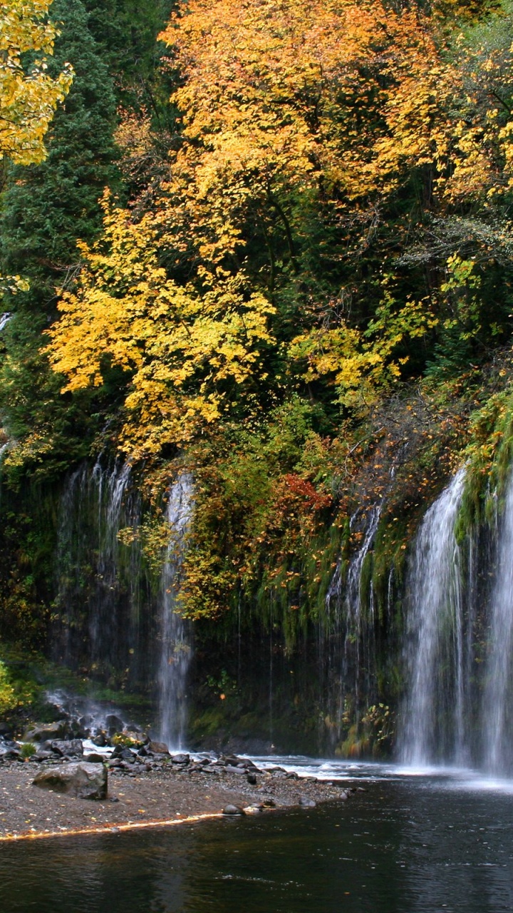 Wasser Fällt im Wald. Wallpaper in 720x1280 Resolution