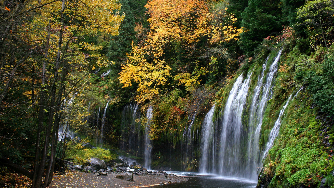 L'eau Tombe Dans la Forêt. Wallpaper in 1366x768 Resolution