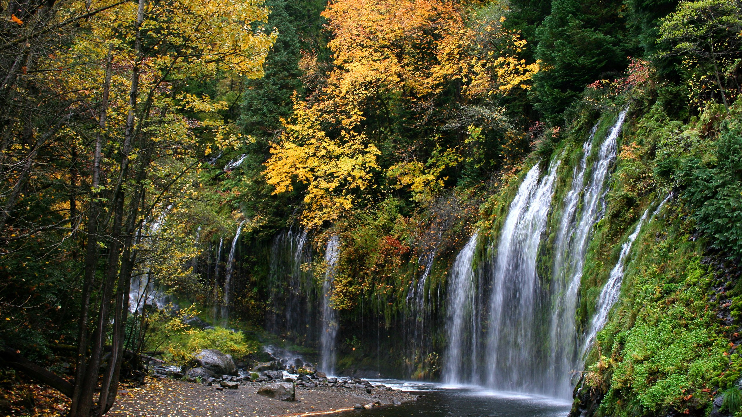 Water Falls in The Forest. Wallpaper in 2560x1440 Resolution