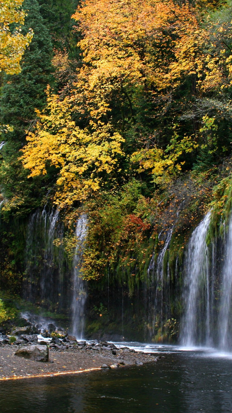 Water Falls in The Forest. Wallpaper in 750x1334 Resolution