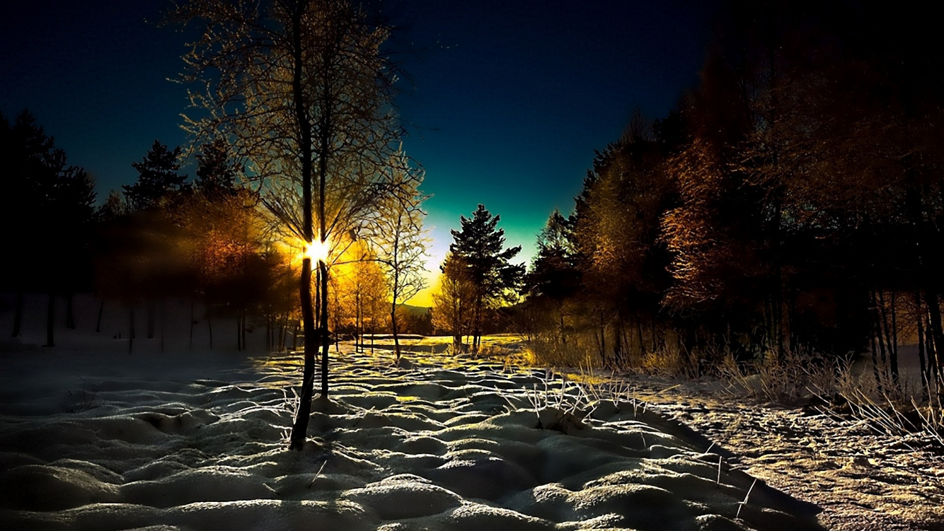 Bäume Auf Schneebedecktem Boden Bei Sonnenuntergang. Wallpaper in 1366x768 Resolution