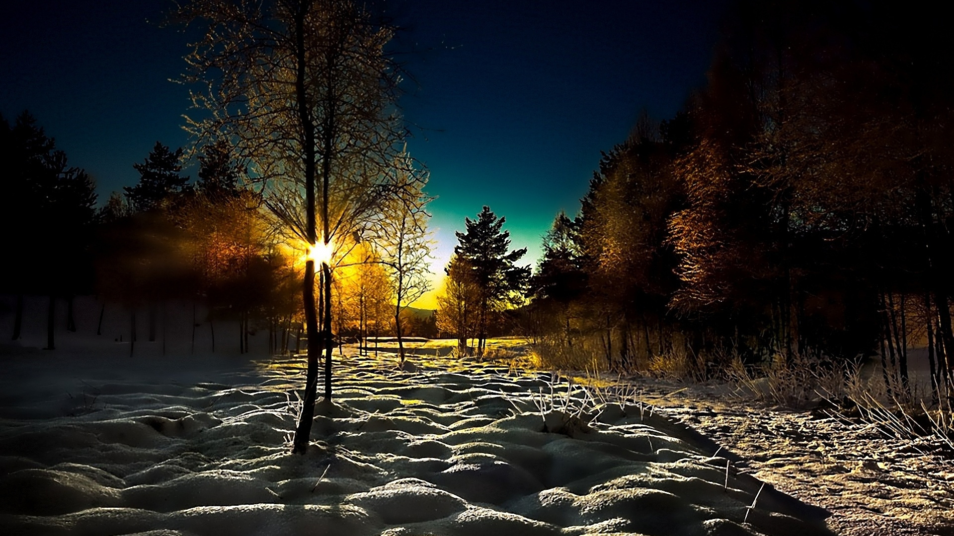 Trees on Snow Covered Ground During Sunset. Wallpaper in 1920x1080 Resolution