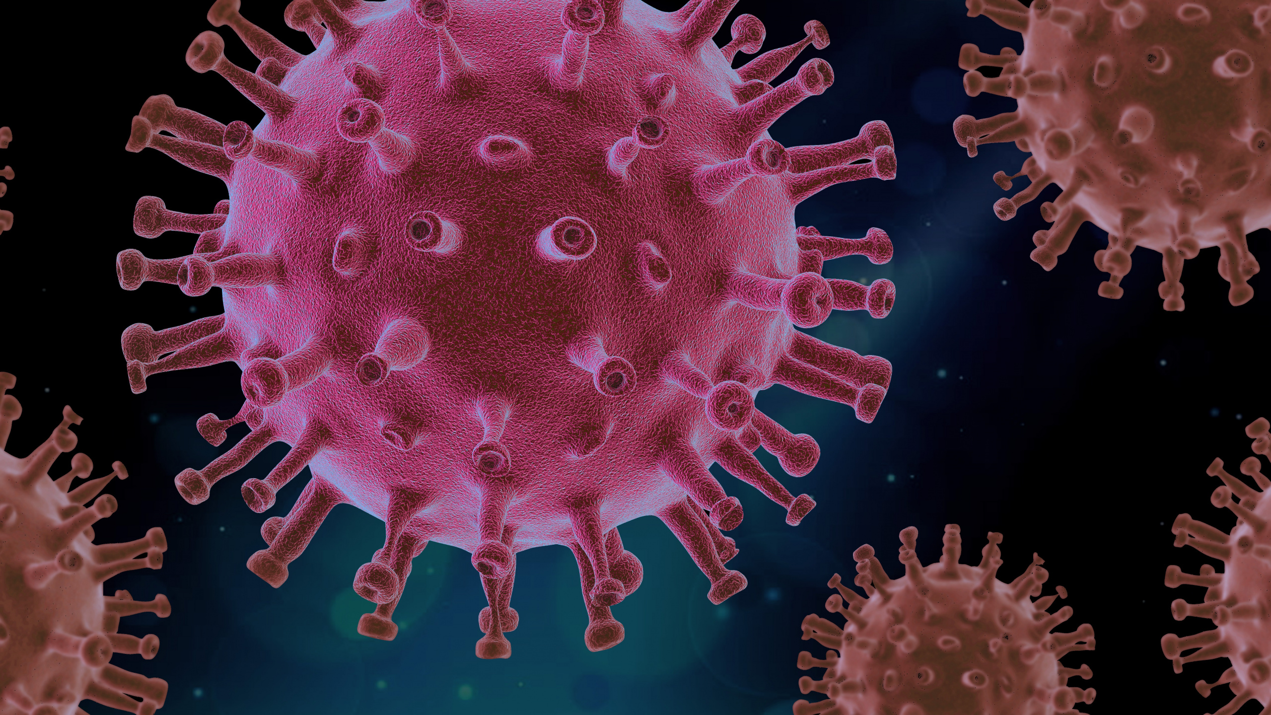 Virus, Coronavirus, COVID-19, Covid 19 Form, Patient. Wallpaper in 2560x1440 Resolution