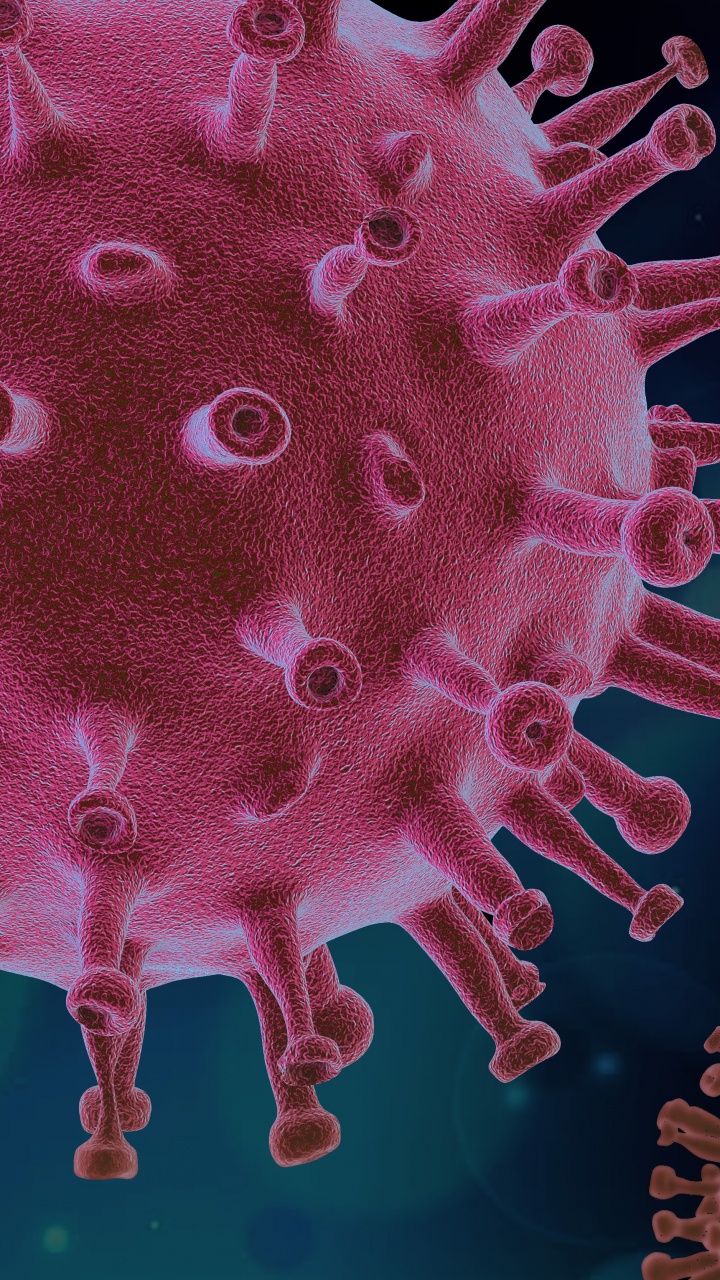 Virus, Coronavirus, COVID-19, Covid 19 Form, Patient. Wallpaper in 720x1280 Resolution