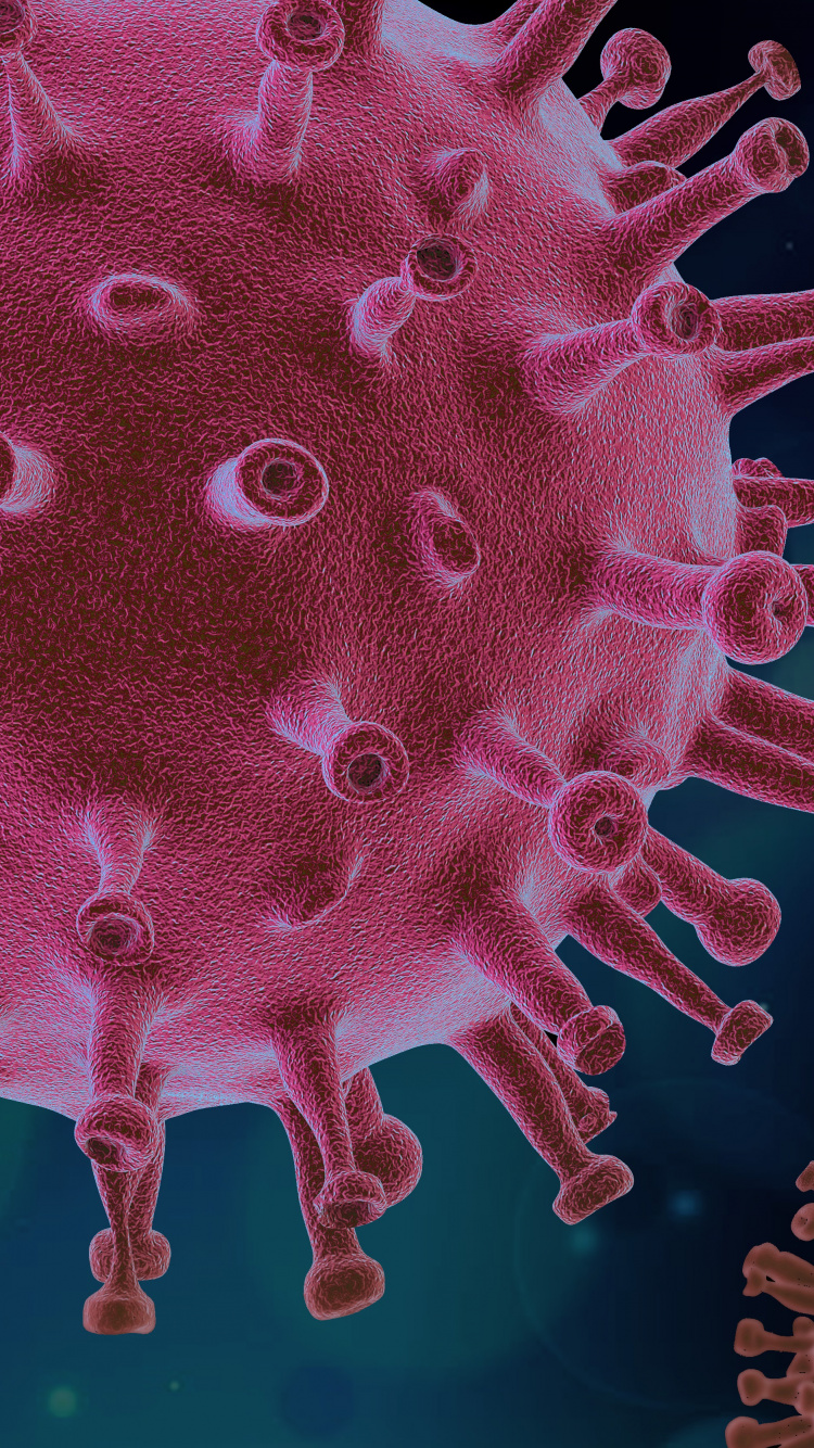 Virus, Coronavirus, COVID-19, Covid 19 Form, Patient. Wallpaper in 750x1334 Resolution