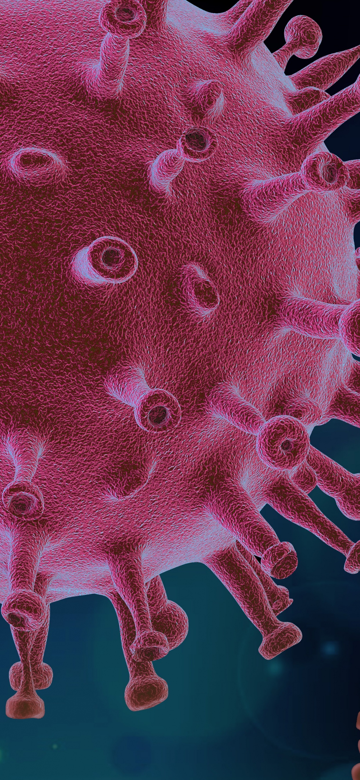 Virus, Coronavirus, COVID-19, Covid 19 Shape, Patient. Wallpaper in 1242x2688 Resolution